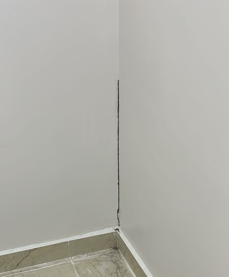 مكافحة الرمة في سلطنة عُمان: أفضل طرق معالجة الرمة